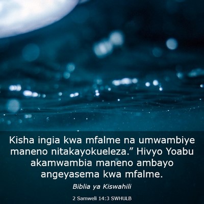 Picture 03 - 2 Samweli 14:3 SWHULB - Kisha ingia kwa mfalme na umwambiye maneno - Bible Verse Picture