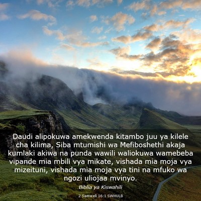 Picture 03 - 2 Samweli 16:1 SWHULB - Daudi alipokuwa amekwenda kitambo juu ya kilele - Bible Verse Picture