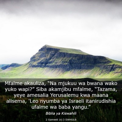 Picture 03 - 2 Samweli 16:3 SWHULB - Mfalme akauliza, “Na mjukuu wa bwana wako yuko - Bible Verse Picture