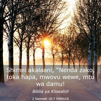 Picture 03 - 2 Samweli 16:7 SWHULB - Shimei akalaani, “Nenda zako, toka hapa, mwovu - Bible Verse Picture