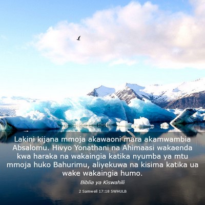 Picture 03 - 2 Samweli 17:18 SWHULB - Lakini kijana mmoja akawaoni mara akamwambia - Bible Verse Picture