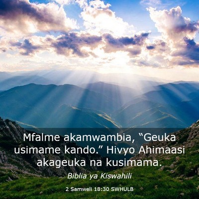 Picture 03 - 2 Samweli 18:30 SWHULB - Mfalme akamwambia, “Geuka usimame kando.” - Bible Verse Picture