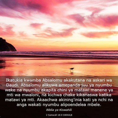 Picture 03 - 2 Samweli 18:9 SWHULB - Ikatukia kwamba Absalomu akakutana na askari wa - Bible Verse Picture