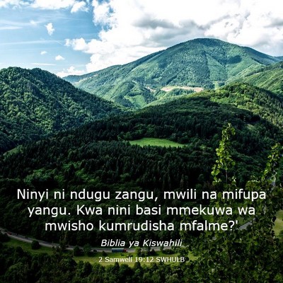 Picture 03 - 2 Samweli 19:12 SWHULB - Ninyi ni ndugu zangu, mwili na mifupa yangu. Kwa - Bible Verse Picture