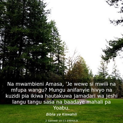 Picture 03 - 2 Samweli 19:13 SWHULB - Na mwambieni Amasa, 'Je wewe si mwili na mfupa - Bible Verse Picture