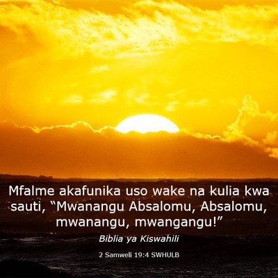 Picture 03 - 2 Samweli 19:4 SWHULB - Mfalme akafunika uso wake na kulia kwa sauti, - Bible Verse Picture