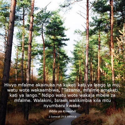 Picture 03 - 2 Samweli 19:8 SWHULB - Hivyo mfalme akainuka na kuketi kati ya lango la - Bible Verse Picture