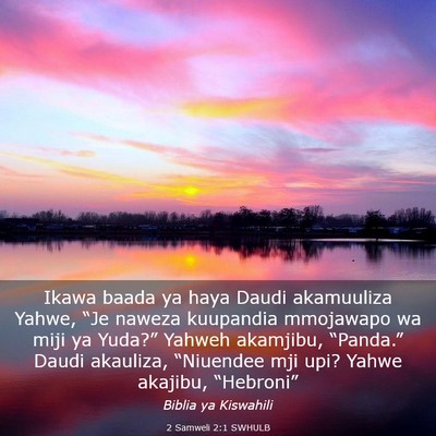 Picture 03 - 2 Samweli 2:1 SWHULB - Ikawa baada ya haya Daudi akamuuliza Yahwe, “Je - Bible Verse Picture