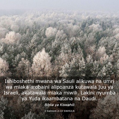 Picture 03 - 2 Samweli 2:10 SWHULB - Ishiboshethi mwana wa Sauli alikuwa na umri wa - Bible Verse Picture