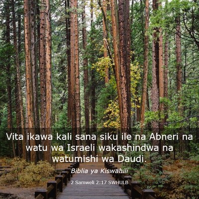 Picture 03 - 2 Samweli 2:17 SWHULB - Vita ikawa kali sana siku ile na Abneri na watu - Bible Verse Picture