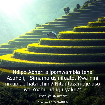 Picture 03 - 2 Samweli 2:22 SWHULB - Ndipo Abneri alipomwambia tena Asaheli, “Simama - Bible Verse Picture