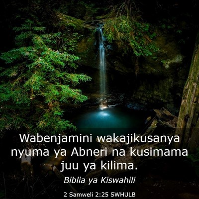 Picture 03 - 2 Samweli 2:25 SWHULB - Wabenjamini wakajikusanya nyuma ya Abneri na - Bible Verse Picture
