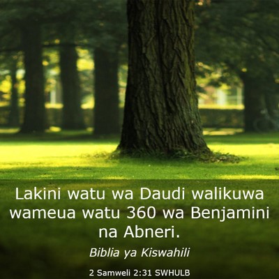 Picture 03 - 2 Samweli 2:31 SWHULB - Lakini watu wa Daudi walikuwa wameua watu 360 wa - Bible Verse Picture