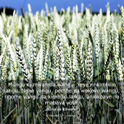 Picture 03 - 2 Samweli 22:3 SWHULB - Mungu ni mwamba wangu. Yeye ni kimbilio langu. - Bible Verse Picture