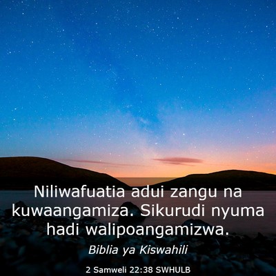 Picture 03 - 2 Samweli 22:38 SWHULB - Niliwafuatia adui zangu na kuwaangamiza. Sikurudi - Bible Verse Picture