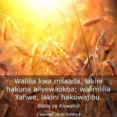Picture 03 - 2 Samweli 22:42 SWHULB - Walilia kwa msaada, lakini hakuna aliyewaokoa; - Bible Verse Picture