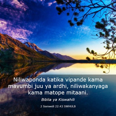 Picture 03 - 2 Samweli 22:43 SWHULB - Niliwaponda katika vipande kama mavumbi juu ya - Bible Verse Picture