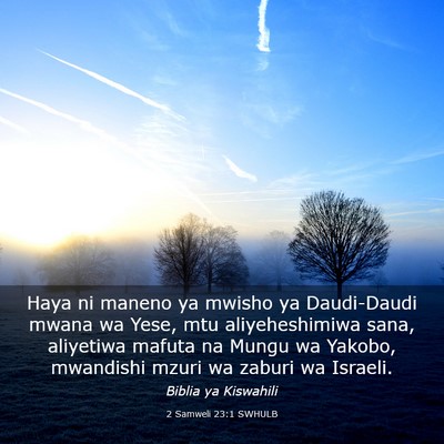Picture 03 - 2 Samweli 23:1 SWHULB - Haya ni maneno ya mwisho ya Daudi-Daudi mwana wa - Bible Verse Picture