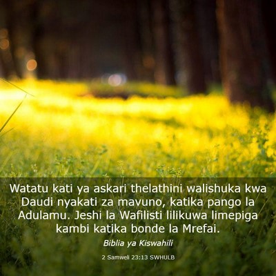 Picture 03 - 2 Samweli 23:13 SWHULB - Watatu kati ya askari thelathini walishuka kwa - Bible Verse Picture
