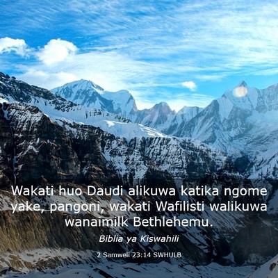 Picture 03 - 2 Samweli 23:14 SWHULB - Wakati huo Daudi alikuwa katika ngome yake, - Bible Verse Picture
