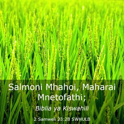 Picture 03 - 2 Samweli 23:28 SWHULB - Salmoni Mhahoi, Maharai - Bible Verse Picture