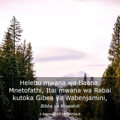 Picture 03 - 2 Samweli 23:29 SWHULB - Helebu mwana wa Baana, Mnetofathi, Itai mwana wa - Bible Verse Picture