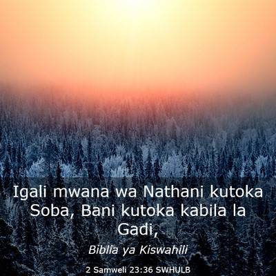 Picture 03 - 2 Samweli 23:36 SWHULB - Igali mwana wa Nathani kutoka Soba, Bani kutoka - Bible Verse Picture