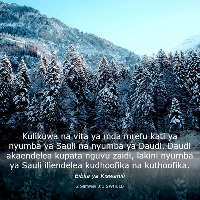 Picture 03 - 2 Samweli 3:1 SWHULB - Kulikuwa na vita ya mda mrefu kati ya nyumba ya - Bible Verse Picture