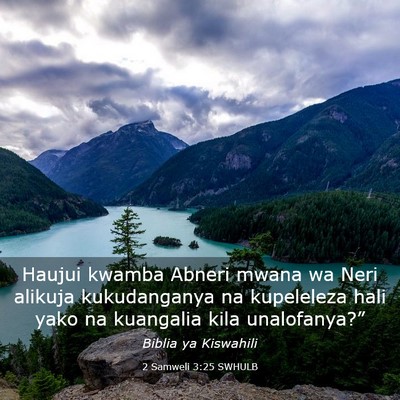 Picture 03 - 2 Samweli 3:25 SWHULB - Haujui kwamba Abneri mwana wa Neri alikuja - Bible Verse Picture