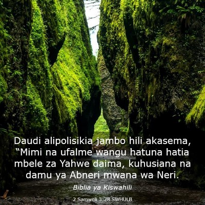 Picture 03 - 2 Samweli 3:28 SWHULB - Daudi alipolisikia jambo hili akasema, “Mimi na - Bible Verse Picture