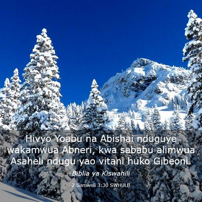 Picture 03 - 2 Samweli 3:30 SWHULB - Hivyo Yoabu na Abishai nduguye wakamwua Abneri, - Bible Verse Picture
