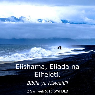 Picture 03 - 2 Samweli 5:16 SWHULB - Elishama, Eliada na - Bible Verse Picture
