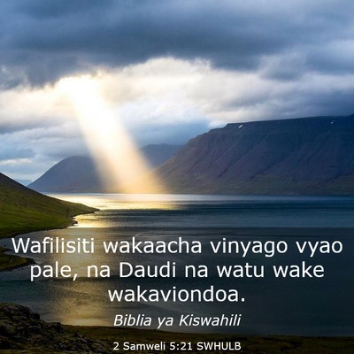 Picture 03 - 2 Samweli 5:21 SWHULB - Wafilisiti wakaacha vinyago vyao pale, na Daudi - Bible Verse Picture