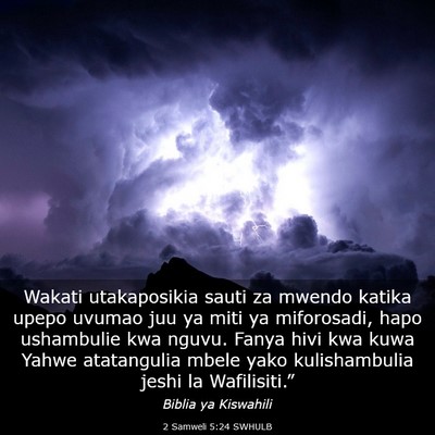 Picture 03 - 2 Samweli 5:24 SWHULB - Wakati utakaposikia sauti za mwendo katika upepo - Bible Verse Picture