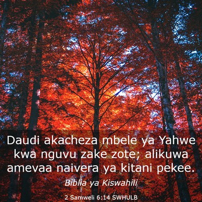 Picture 03 - 2 Samweli 6:14 SWHULB - Daudi akacheza mbele ya Yahwe kwa nguvu zake - Bible Verse Picture