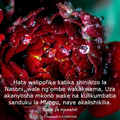 Picture 03 - 2 Samweli 6:6 SWHULB - Hata walipofika katika shinikizo la Nasoni, wale - Bible Verse Picture