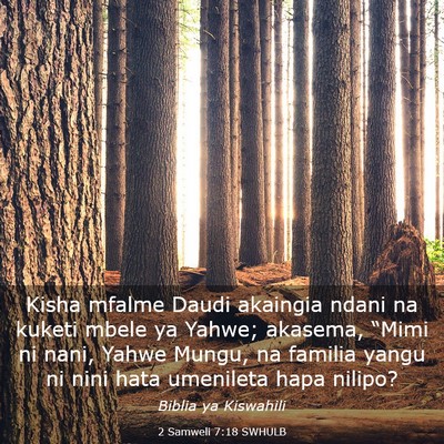 Picture 03 - 2 Samweli 7:18 SWHULB - Kisha mfalme Daudi akaingia ndani na kuketi mbele - Bible Verse Picture