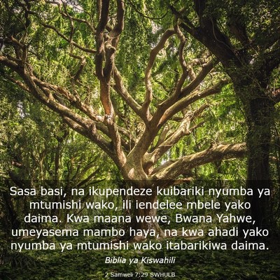 Picture 03 - 2 Samweli 7:29 SWHULB - Sasa basi, na ikupendeze kuibariki nyumba ya - Bible Verse Picture