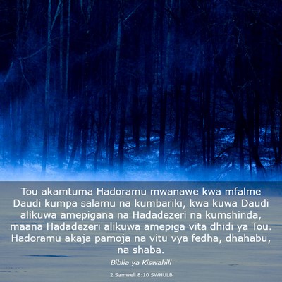 Picture 03 - 2 Samweli 8:10 SWHULB - Tou akamtuma Hadoramu mwanawe kwa mfalme Daudi - Bible Verse Picture