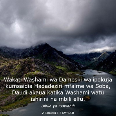 Picture 03 - 2 Samweli 8:5 SWHULB - Wakati Washami wa Dameski walipokuja kumsaidia - Bible Verse Picture