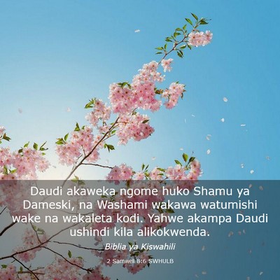 Picture 03 - 2 Samweli 8:6 SWHULB - Daudi akaweka ngome huko Shamu ya Dameski, na - Bible Verse Picture