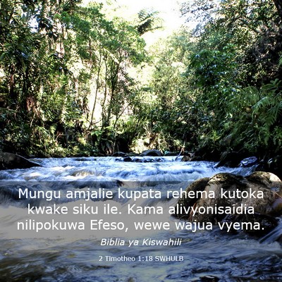 Picture 03 - 2 Timotheo 1:18 SWHULB - Mungu amjalie kupata rehema kutoka kwake siku - Bible Verse Picture