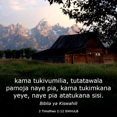Picture 03 - 2 Timotheo 2:12 SWHULB - kama tukivumilia, tutatawala pamoja naye pia, - Bible Verse Picture