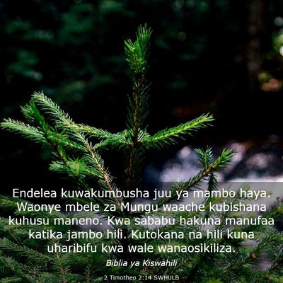 Picture 03 - 2 Timotheo 2:14 SWHULB - Endelea kuwakumbusha juu ya mambo haya. Waonye - Bible Verse Picture