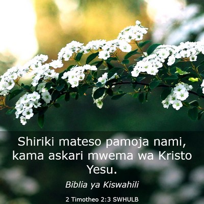 Picture 03 - 2 Timotheo 2:3 SWHULB - Shiriki mateso pamoja nami, kama askari mwema wa - Bible Verse Picture