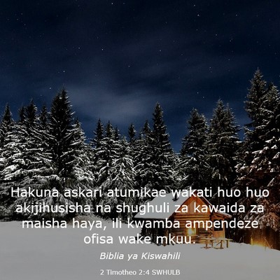 Picture 03 - 2 Timotheo 2:4 SWHULB - Hakuna askari atumikae wakati huo huo - Bible Verse Picture