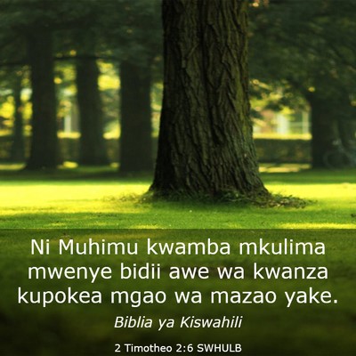 Picture 03 - 2 Timotheo 2:6 SWHULB - Ni Muhimu kwamba mkulima mwenye bidii awe wa - Bible Verse Picture