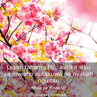 Picture 03 - 2 Timotheo 3:1 SWHULB - Lakini fahamu hili: katika siku za mwisho - Bible Verse Picture