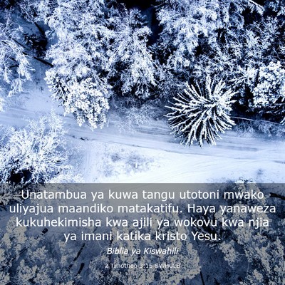 Picture 03 - 2 Timotheo 3:15 SWHULB - Unatambua ya kuwa tangu utotoni mwako uliyajua - Bible Verse Picture