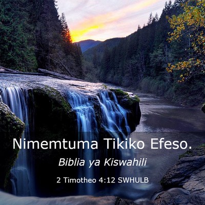 Picture 03 - 2 Timotheo 4:12 SWHULB - Nimemtuma Tikiko - Bible Verse Picture